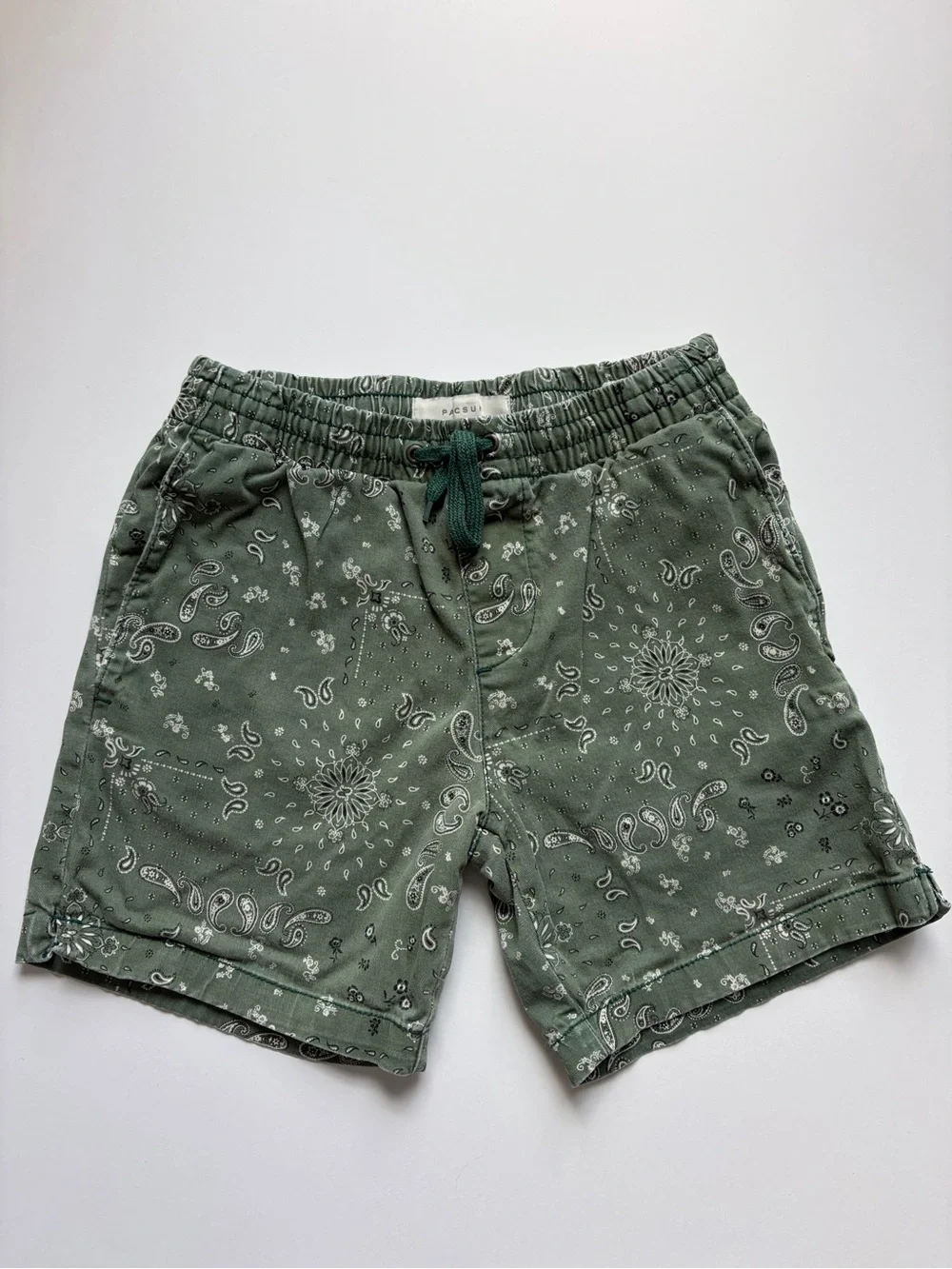 Pacsun XS Men's Green Bandana Print Casual Shorts